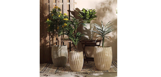 Tendințele anilor 2025/2026 în ghivece, vaze și jardiniere