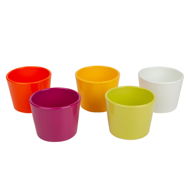 Vas Ceramic Primula Mix 11Cm