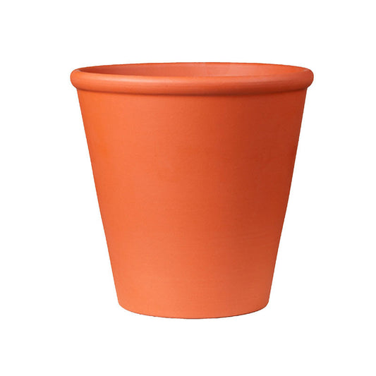 Rosa Argilă Ghiveci Teracotă 14Cm