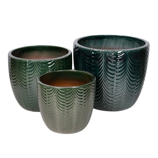 Sylva Set Ghiveci Ceramic Clasic Verde Pin 38,5X34-57X49Cm S3