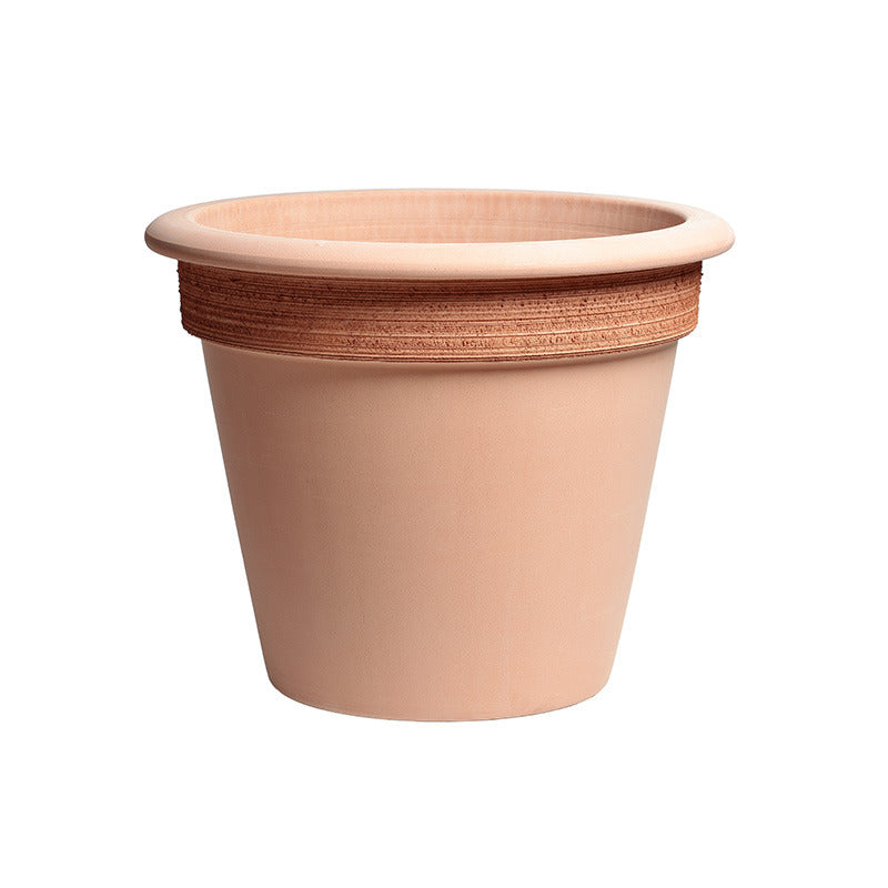 Camelia Graffiato Ghiveci De Lut 32Cm